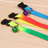 Rainbow Dog  Collar