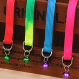 Rainbow Dog  Collar
