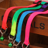 Rainbow Dog  Collar