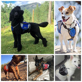 Luxury Pet Outdoor Backpack