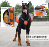 Luxury Pet Outdoor Backpack