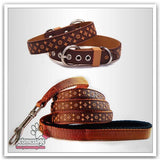 Pet Collar