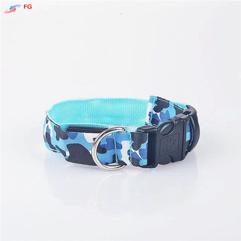 Dog LED Collar