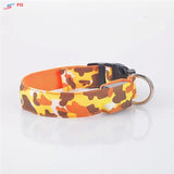 Dog LED Collar