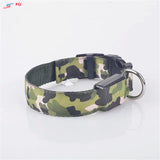 Dog LED Collar