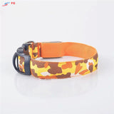 Dog LED Collar