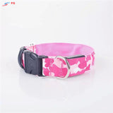 Dog LED Collar