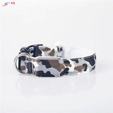 Dog LED Collar