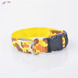 Dog LED Collar