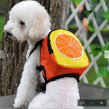 Leather Dog Bag Saddle