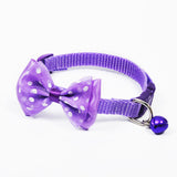 Adjustable Collars