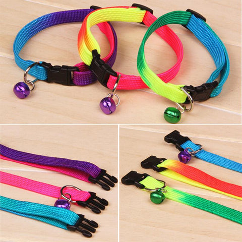 Rainbow Dog  Collar
