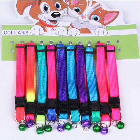 Rainbow Dog  Collar