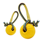 Pet Dog Training Toy