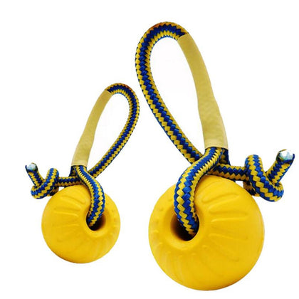 Pet Dog Training Toy
