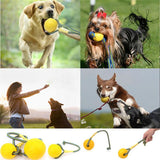 Pet Dog Training Toy
