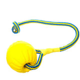 Pet Dog Training Toy