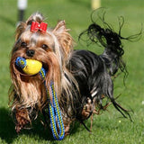 Pet Dog Training Toy