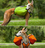 Large Pet Dog Saddle Bag Pack