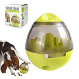 Food Ball Toy