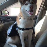 Saddle Bag Dog Backpack