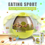Food Ball Toy