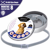 Collar Anti Flea Ticks
