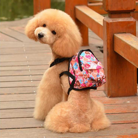 Dog Supplies