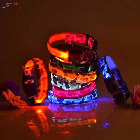 Dog LED Collar